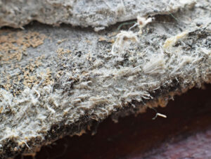 asbestos fibers