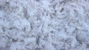 asbestos
